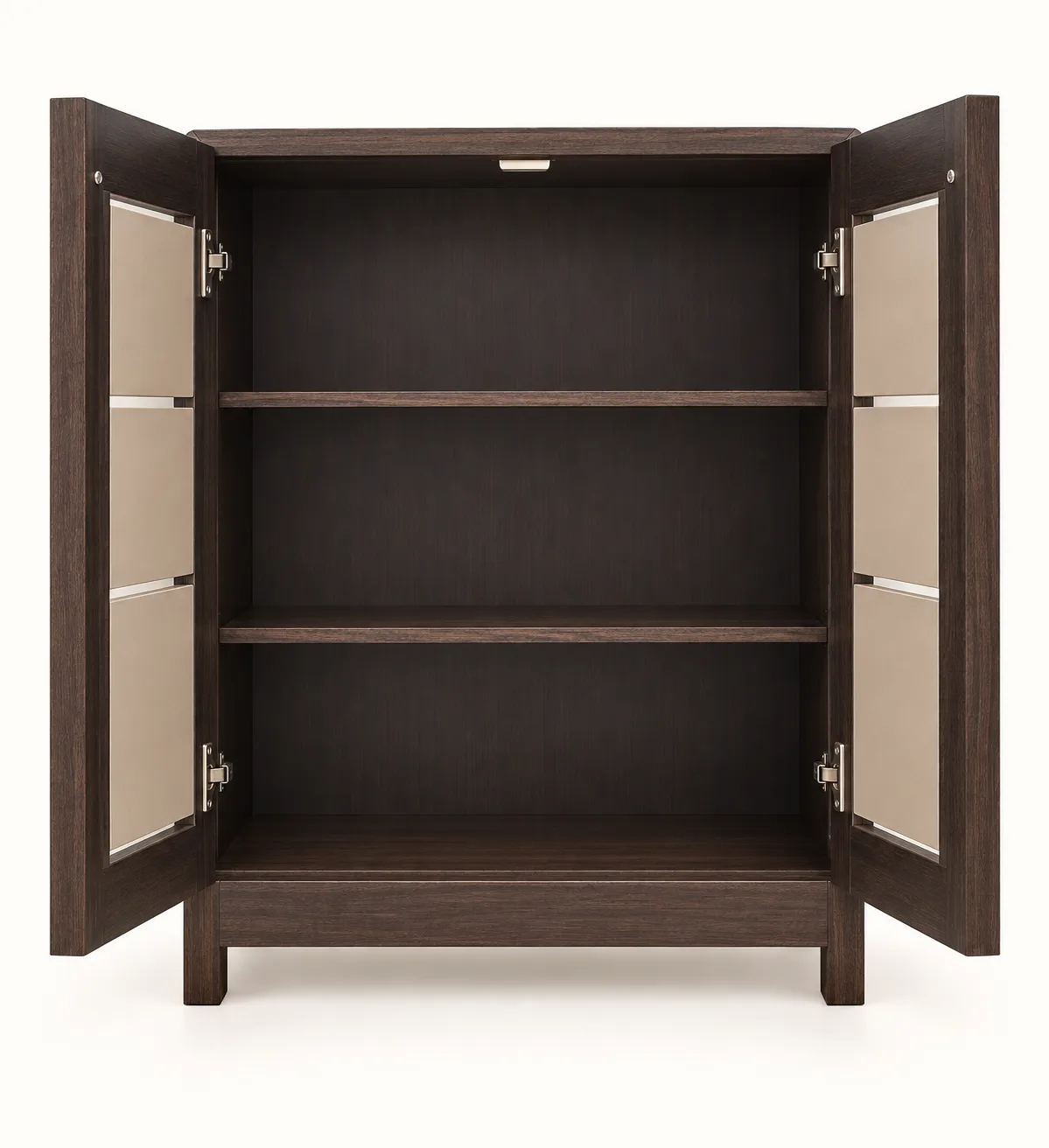 Dark display cabinet with two panelled doors: additional view 1